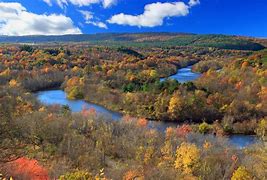 Image result for Lehigh Valley PA Forest