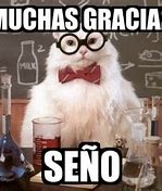 Image result for Gracias Meme Chems