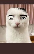 Image result for Angry Kitten Man Face Roblox Meme
