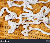 Image result for Cow Intestine Sausage Casing