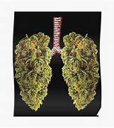 Image result for Weed Lungs Meme