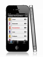 Image result for iPhone 4 CC Pin