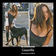 Image result for guarrilla