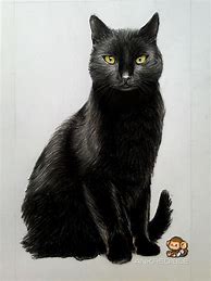 Image result for Drawings of Black Cats