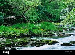 Image result for Afon Hafren