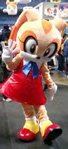 Image result for Sonic Cream Costume