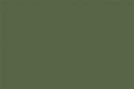 Image result for Cool Olive Drab iPhone Case iPhone 13 Pro Max