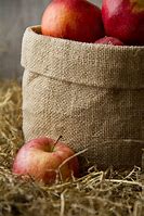 Image result for Sack of Apple's