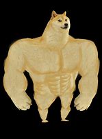 Image result for Doge Meme Galaxy