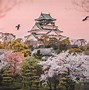Image result for Must See in Osaka in One Day