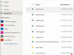 Image result for OneDrive Recycle Bin