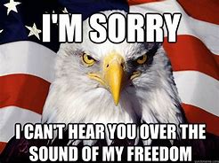 Image result for Patriot Eagle Meme