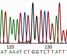 Image result for DNA Sequence