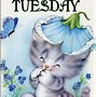 Image result for Tuesday Week