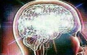 Image result for Memes About Brains