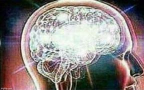Image result for Simulated Brain Meme