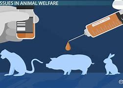 Image result for Animal Testing Pros and Cons