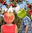 Image result for NZ Apple Varieties