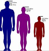 Image result for 5 Feet 4