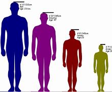 Image result for Human in Centimeters