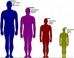 Image result for 6 Inches Compared to a Human