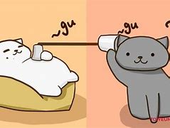 Image result for AVT Cat Meme