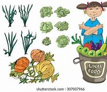 Image result for Produce Cartoon