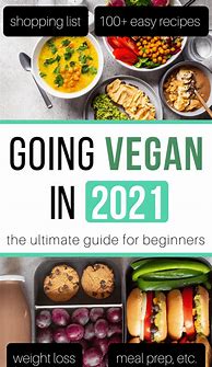 Image result for Vegan Diet for Beginners