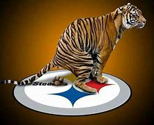 Image result for Bengals Tiger On Steelers