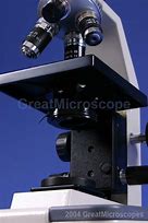 Image result for High Power Microscope