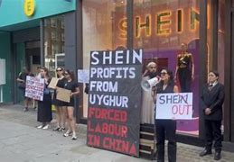 Image result for Shein Protests