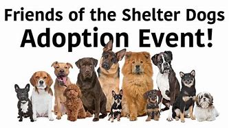 Image result for Dog Adoption Events Near Me This Weekend