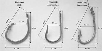 Image result for Circle Hook vs J-Hook