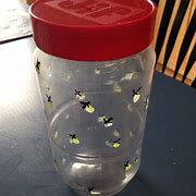 Image result for Firefly Jar