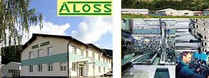 Image result for aloss