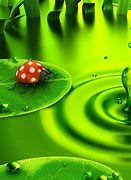 Image result for Green iPad Wallpaper