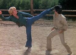 Image result for Chuck Norris Kick