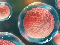 Image result for Cell and Gene