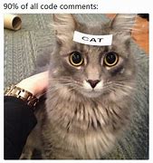 Image result for Code Comments Meme
