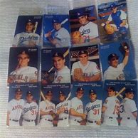 Image result for Tim Salmon and Mike Piazza Rookie Card Collection Plaque