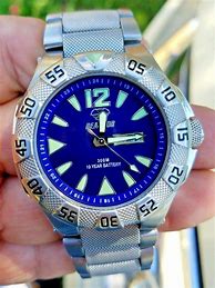 Image result for Quartz Diver Watch