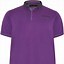 Image result for Polo Clothes