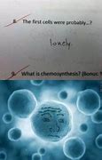 Image result for AP Biology Memes