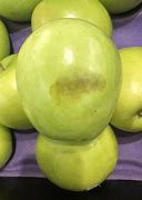 Image result for Apple Extract Squamous Cell