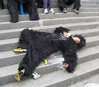 Image result for Dead Gorilla