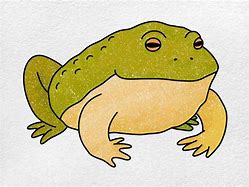 Image result for Bull Frog Drawing Small