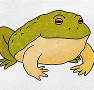 Image result for American Bullfrog Drawing