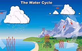 Image result for Water Cycle 4th Grade