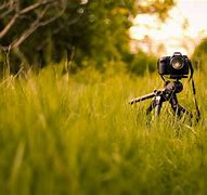 Image result for DSLR and iPhone Cameras with Background Scene