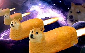 Image result for Galaxy Doge
